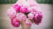 Цветы (розы,  хризантемы,  гвоздики,  тюльпаны...